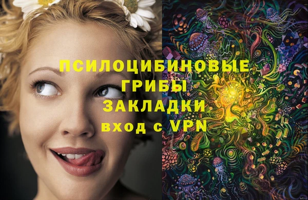 спайс Алексеевка