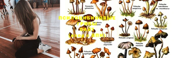 мяу мяу кристалл Абаза
